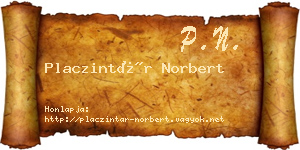 Placzintár Norbert névjegykártya